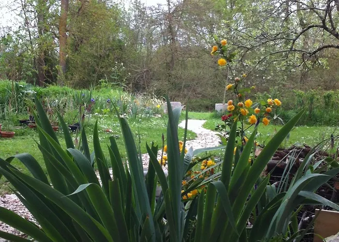 Iris Meadow Gardonne