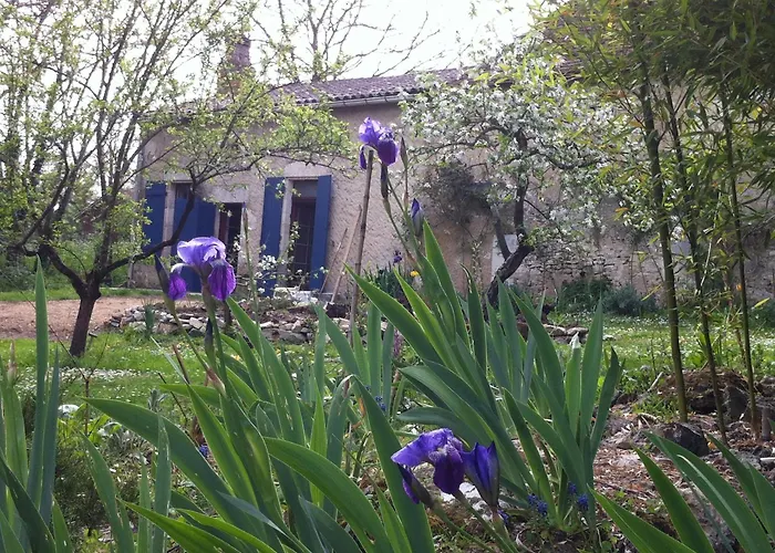 Apartmán Iris Meadow Gardonne